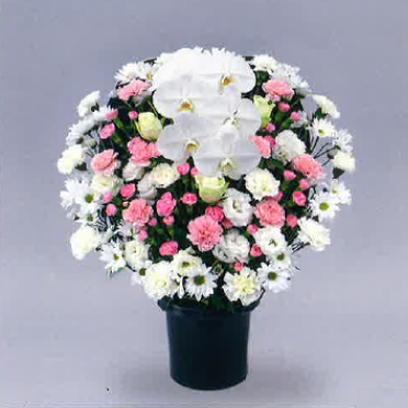 洋花イメージ3