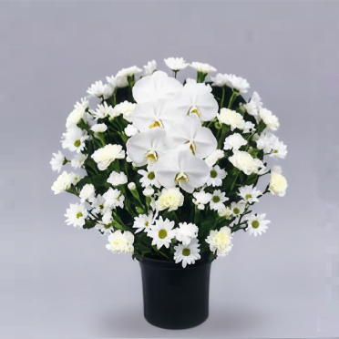洋花イメージ2